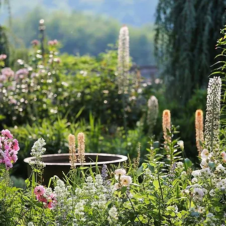 Les Jardins Du Manoir D'eyrignac *